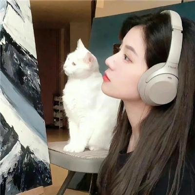 8号展品